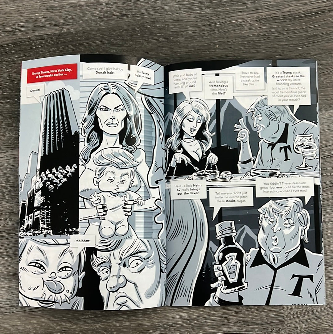 Stormy Daniels Political Power comic